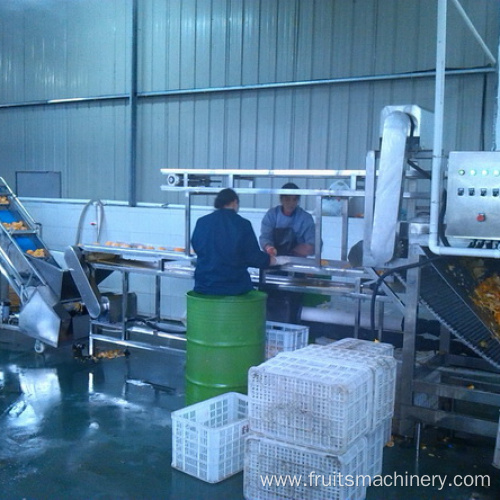 NFC fresh juice processing equipment